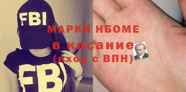 дживик Бородино