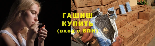 дживик Бородино