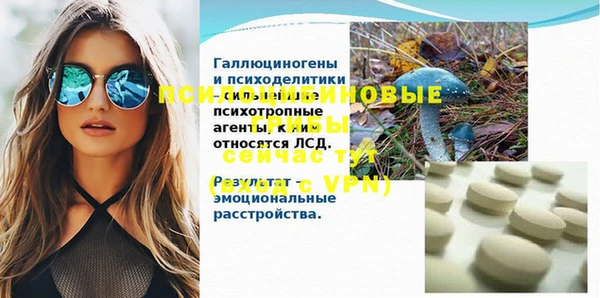 ПСИЛОЦИБИНОВЫЕ ГРИБЫ Богородицк