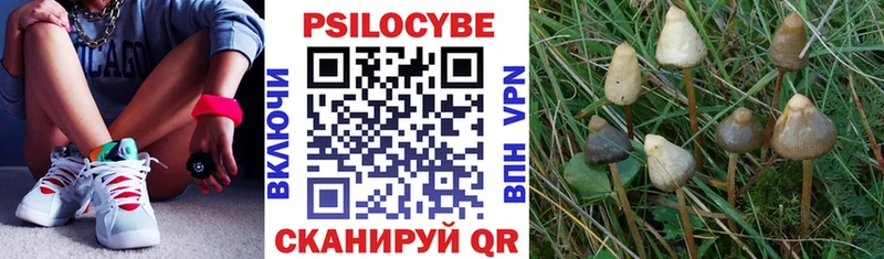 Галлюциногенные грибы мухоморы  купить наркотик  Карталы 